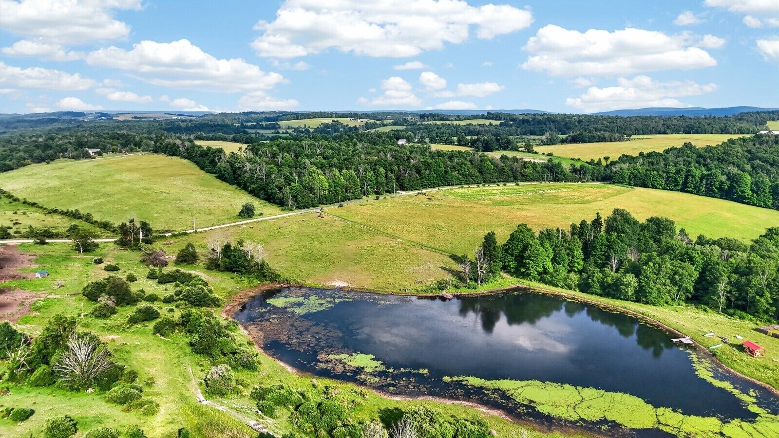 Paesaggio rurale con uno stagno, campi verdi e alberi sparsi.