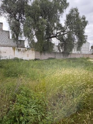 Double Room, Garden View | Property grounds - La Finca Tilhuacán (Tecamac)