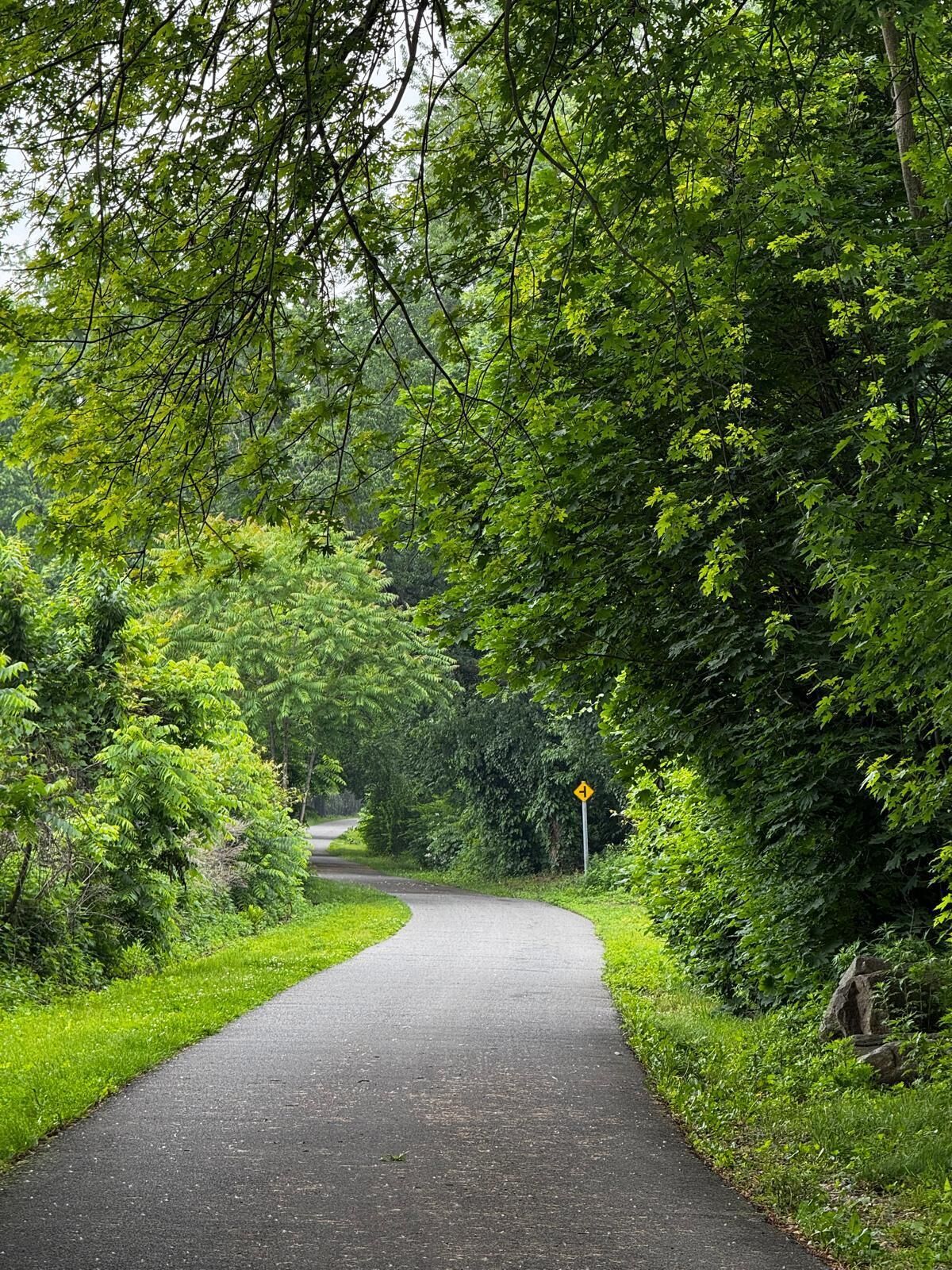 Eine gewundene, gepflasterte Straße, umgeben von dichtem Grün.