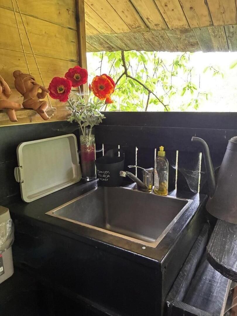 Een kleine keuken met een spoelbak, een fles afwasmiddel en een vaas met rode bloemen.