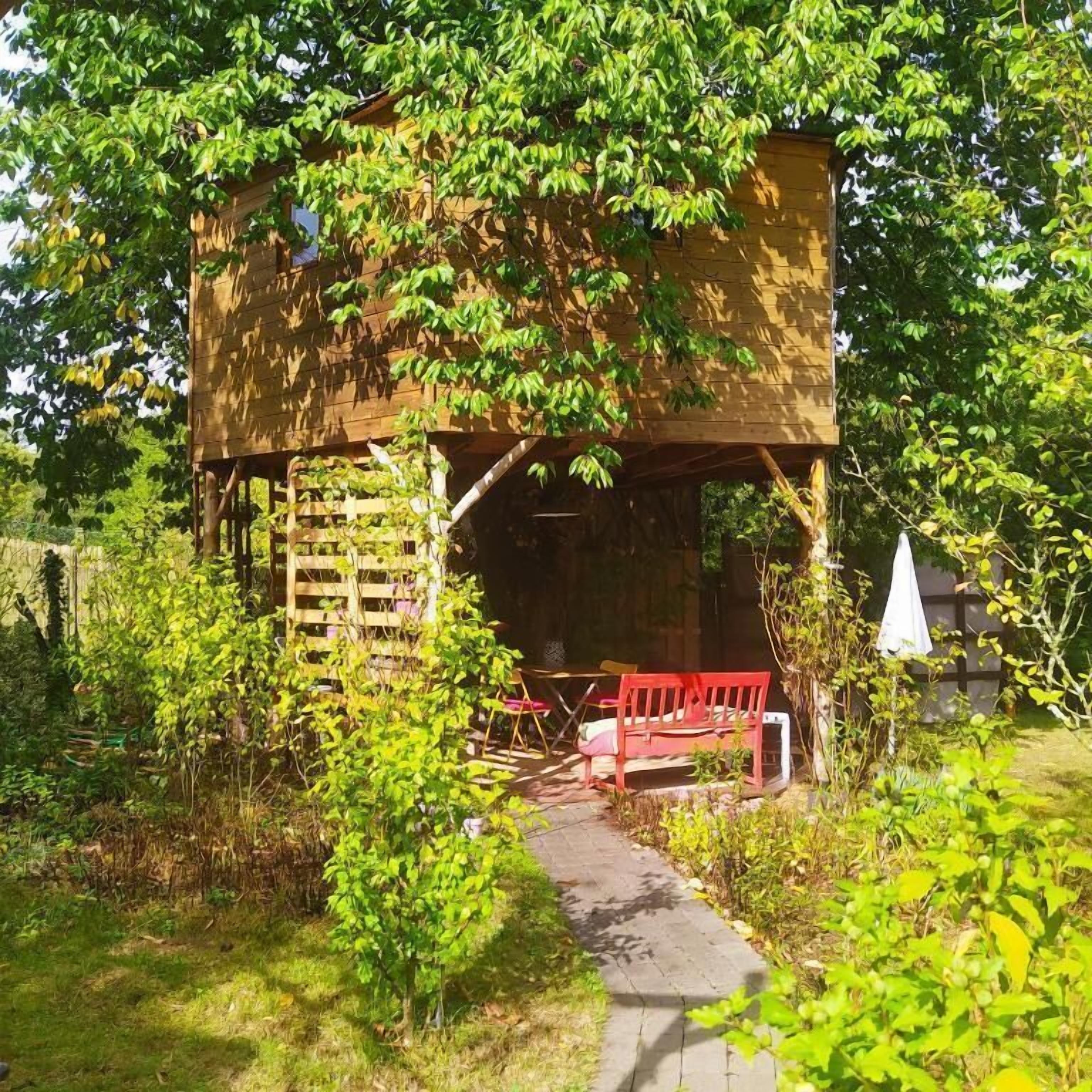 Une cabane en bois perchée dans un arbre, accessible par une échelle, entourée de verdure et bordée d’un chemin pavé.