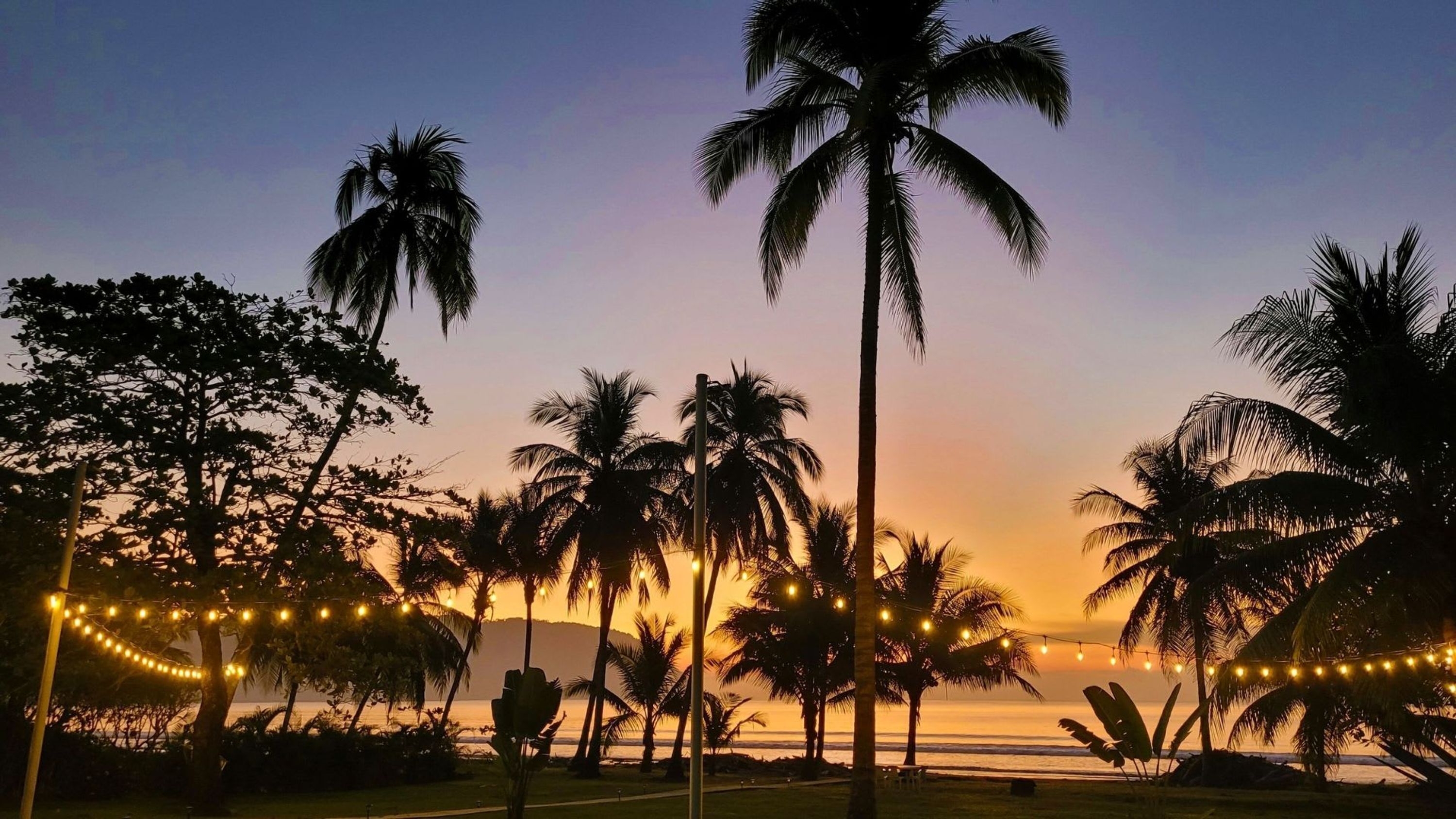 A sunset view with palm trees and string lights.