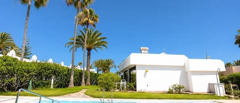 A swimming pool with a clear blue water surface, surrounded by a well-maintained lawn and tall palm trees.