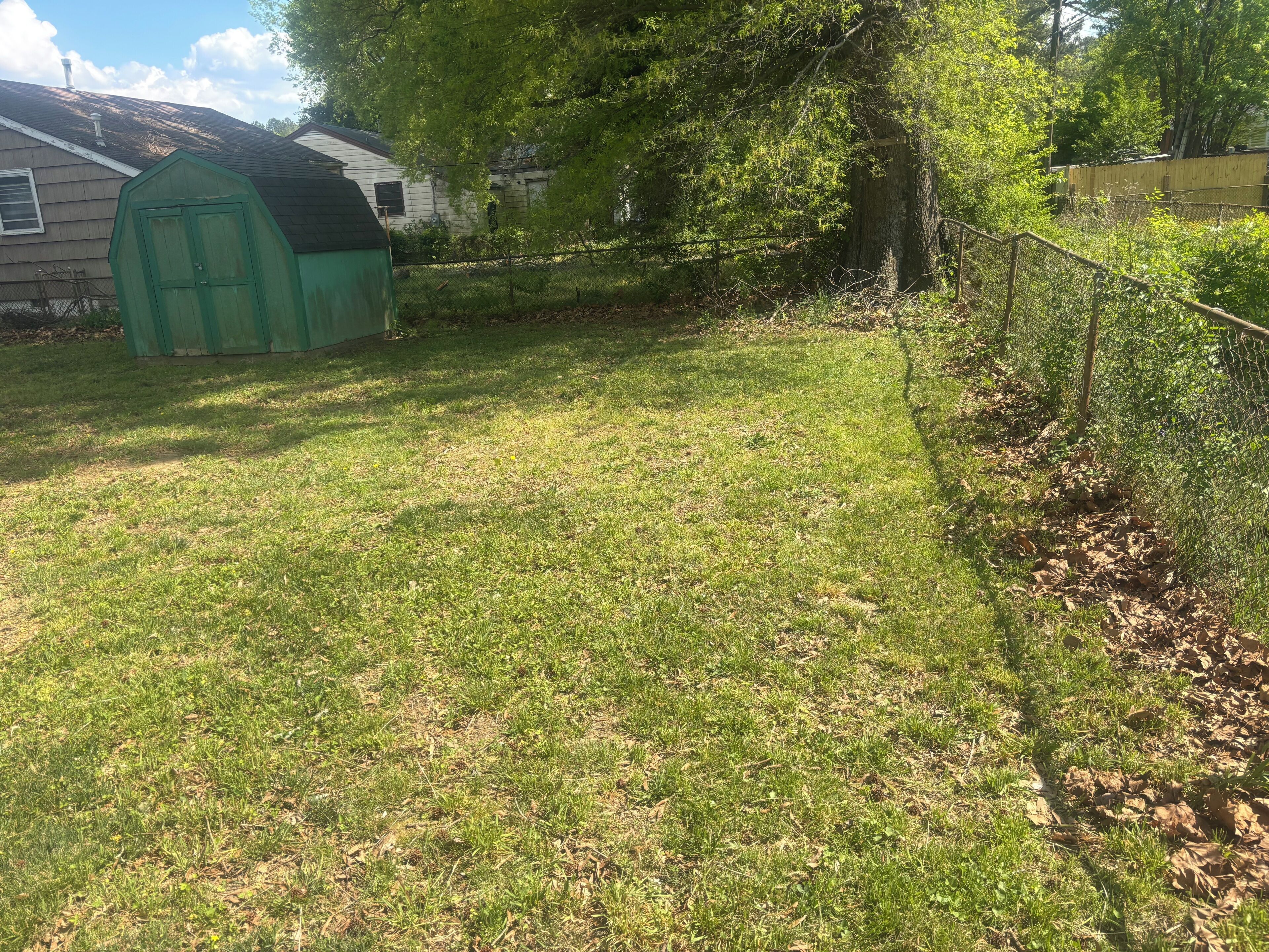 Une cour verdoyante avec un abri de jardin vert, un arbre et une clôture.