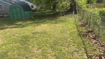 Une cour verdoyante avec un abri de jardin vert, un arbre et une clôture.