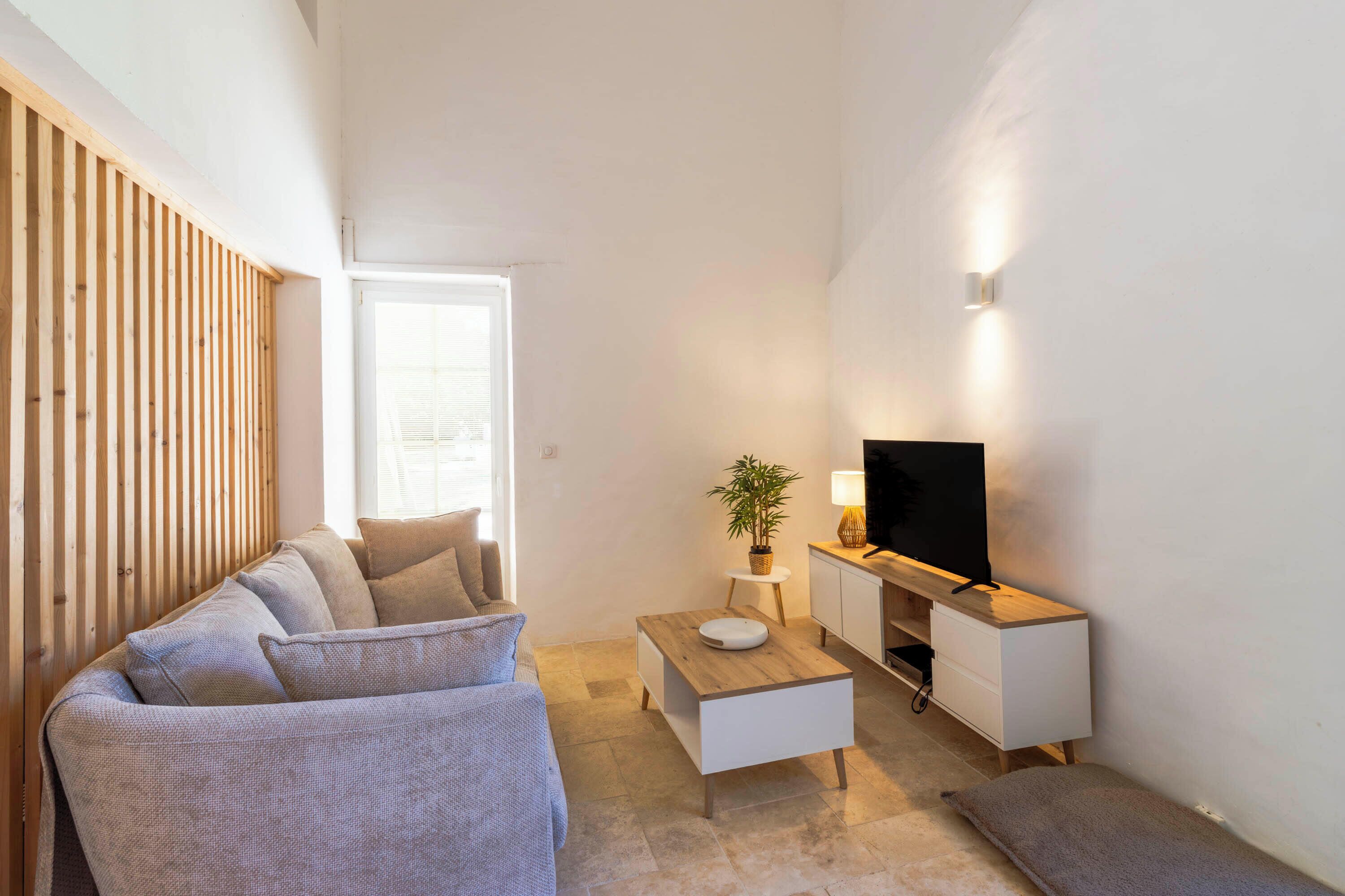 Un salon moderne avec un canapé, une table basse, un téléviseur et une petite plante.