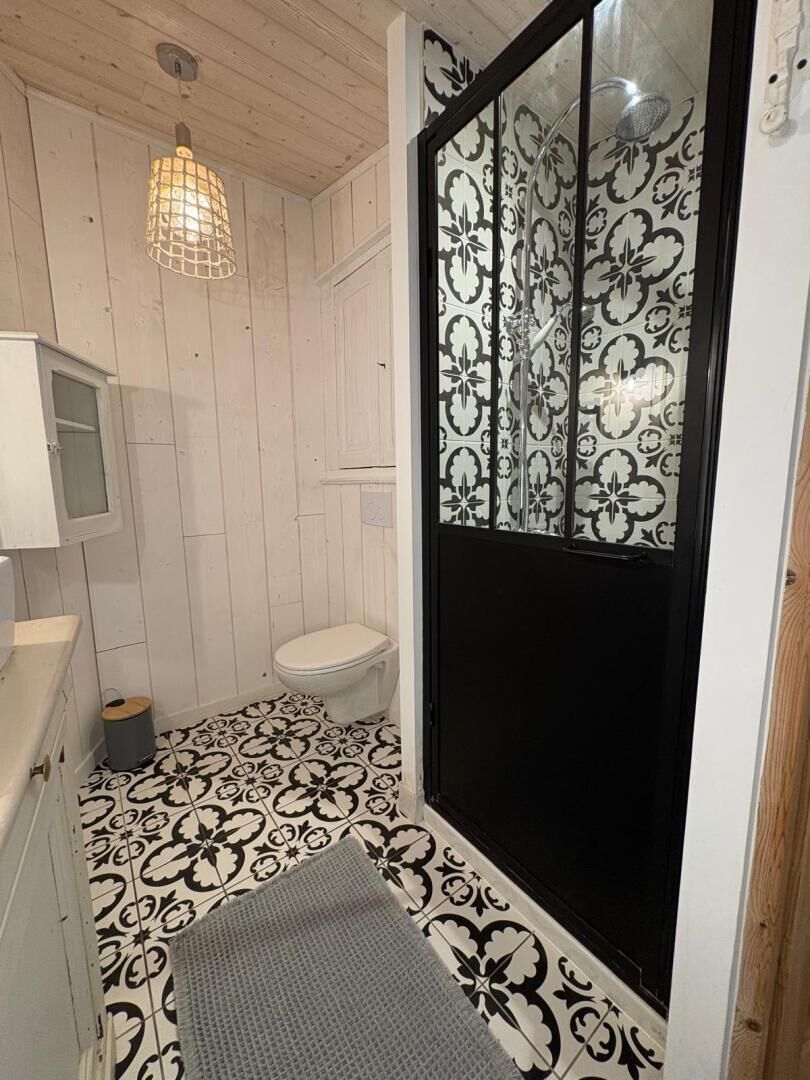 A bathroom with a toilet, a sink, and a shower enclosure with a patterned door.