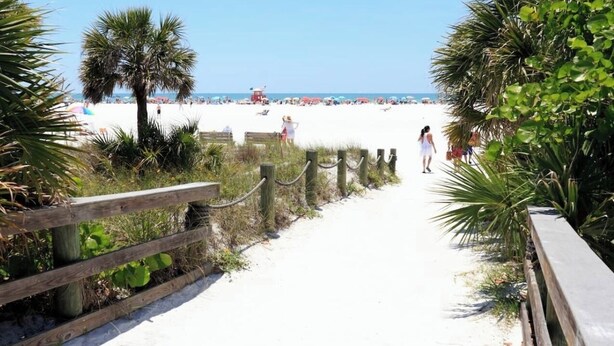 A beach pathway leading to a sandy beach with palm trees and a lifeguard tower in the background. - Sunny Sarasota Escape/ Minutes away from Siesta Key & Downtown (Sarasota)