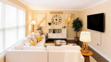 Smart TV, fireplace, books