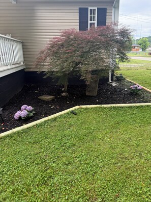 A landscaped garden with a lawn, a small tree, and purple flowers. - O-TOWN OASIS!  Near Oneida Baptist Institute & 10 miles from Manchester, KY (Oneida)