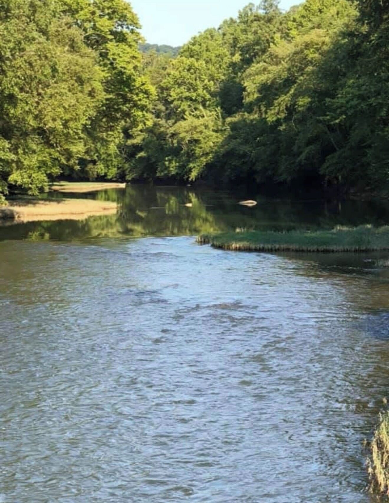 A calm river with dense greenery on both sides.