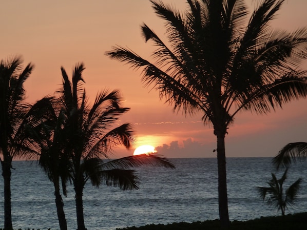 Miscellaneous - Beautiful Coconut Plantation Condo at KoOlina (Kapolei)