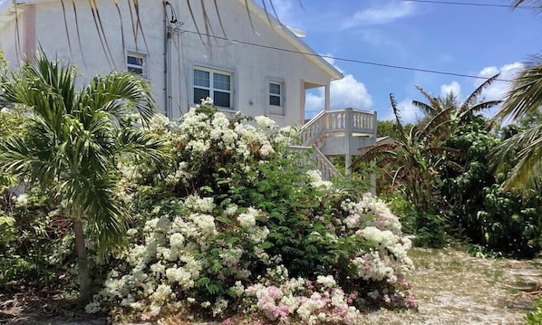 Une maison à l’extérieur blanc, dotée d’un porche et d’un jardin agrémenté d’arbustes en fleurs.