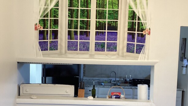Una sala de estar con sofá, una ventana con cortinas y una zona de cocina con pileta y armarios.