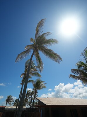 A clear sky with a bright sun, palm trees, and a building with a tiled roof. - Beach front One Bedroom with Pool and Garden Views (Caponga)
