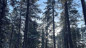 Unclassified image, 5 of 6, button - Charming 2 Queen bedroom lodge in South Lake Tahoe for a relaxing stay (South Lake Tahoe)