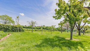 Eine grüne Rasenfläche mit Bäumen und blauem Himmel.