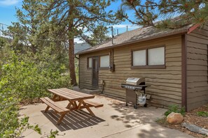 Eine Holzhütte mit Picknicktisch und tragbarem Grill vor der Tür.