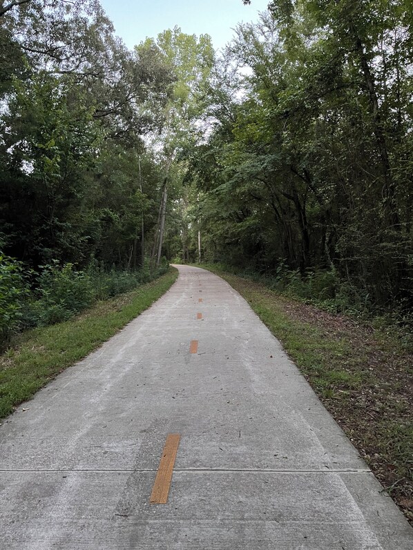 A paved pathway surrounded by dense foliage.
