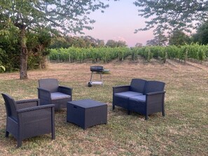 Property grounds - Between the Woods and the Vineyards (MONTBELLET)
