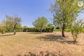 Property grounds - Between the Woods and the Vineyards (MONTBELLET)