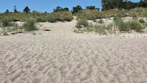 Hiekkainen ranta, jossa on niukasti kasvillisuutta, ja kirkas, sininen taivas.