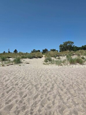 Ein Sandstrand mit vereinzelter Vegetation und blauem, wolkenlosem Himmel.