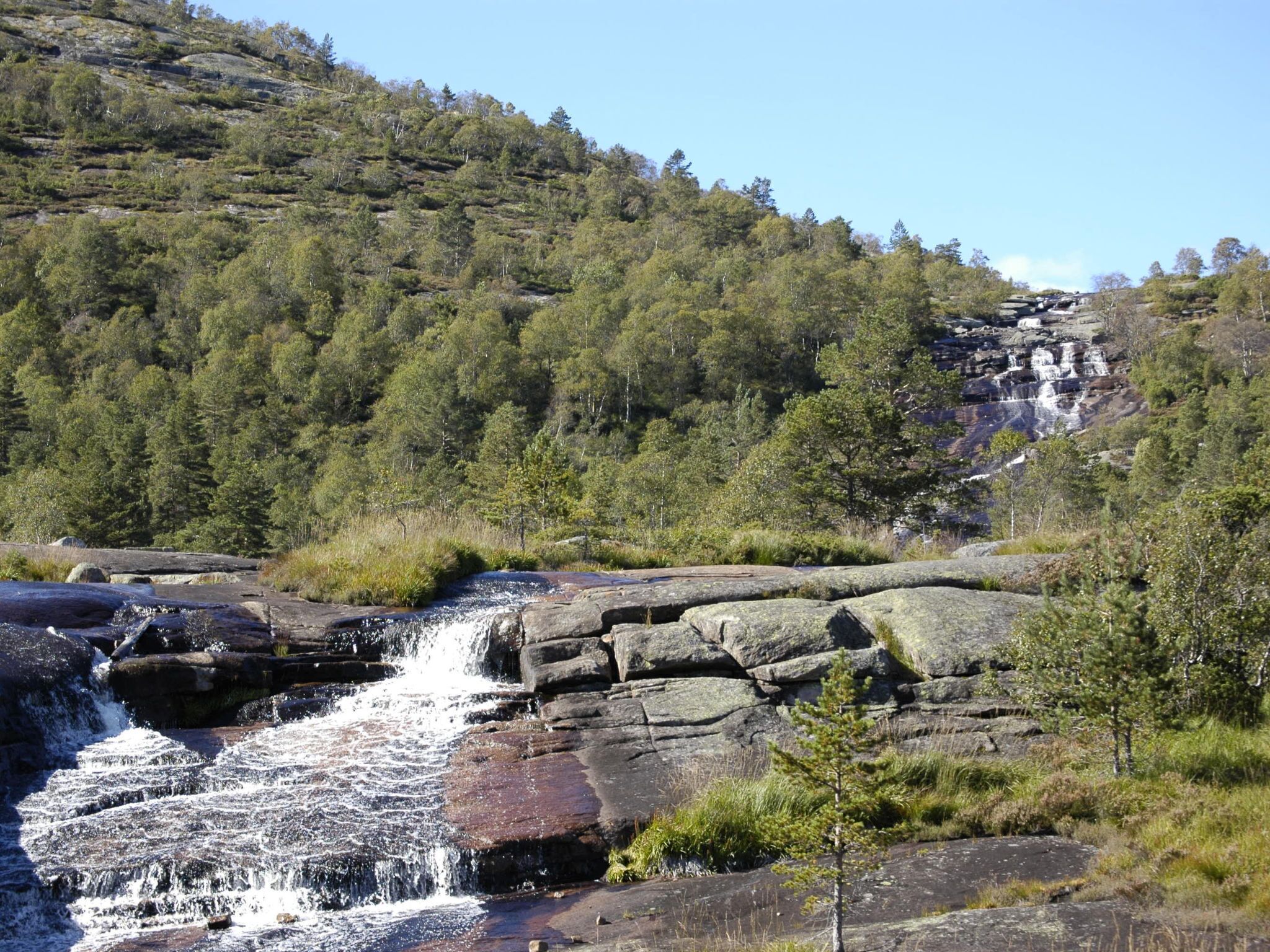 A natural landscape with a waterfall, rocky terrain, and dense forest.
