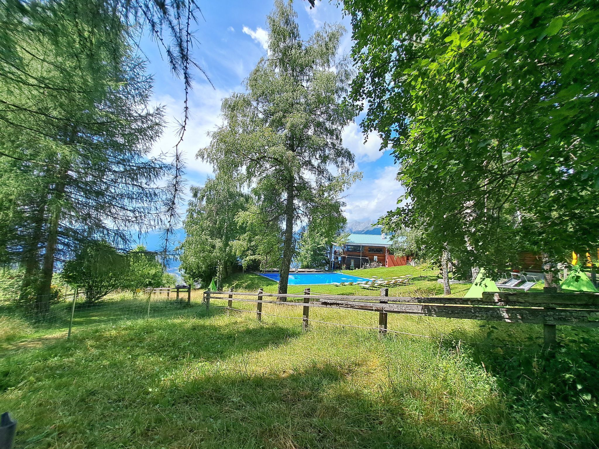 A lush outdoor area with a swimming pool, wooden fence, and a building in the background.