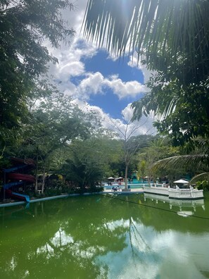 A serene outdoor pool area with a boat, surrounded by lush greenery and trees.