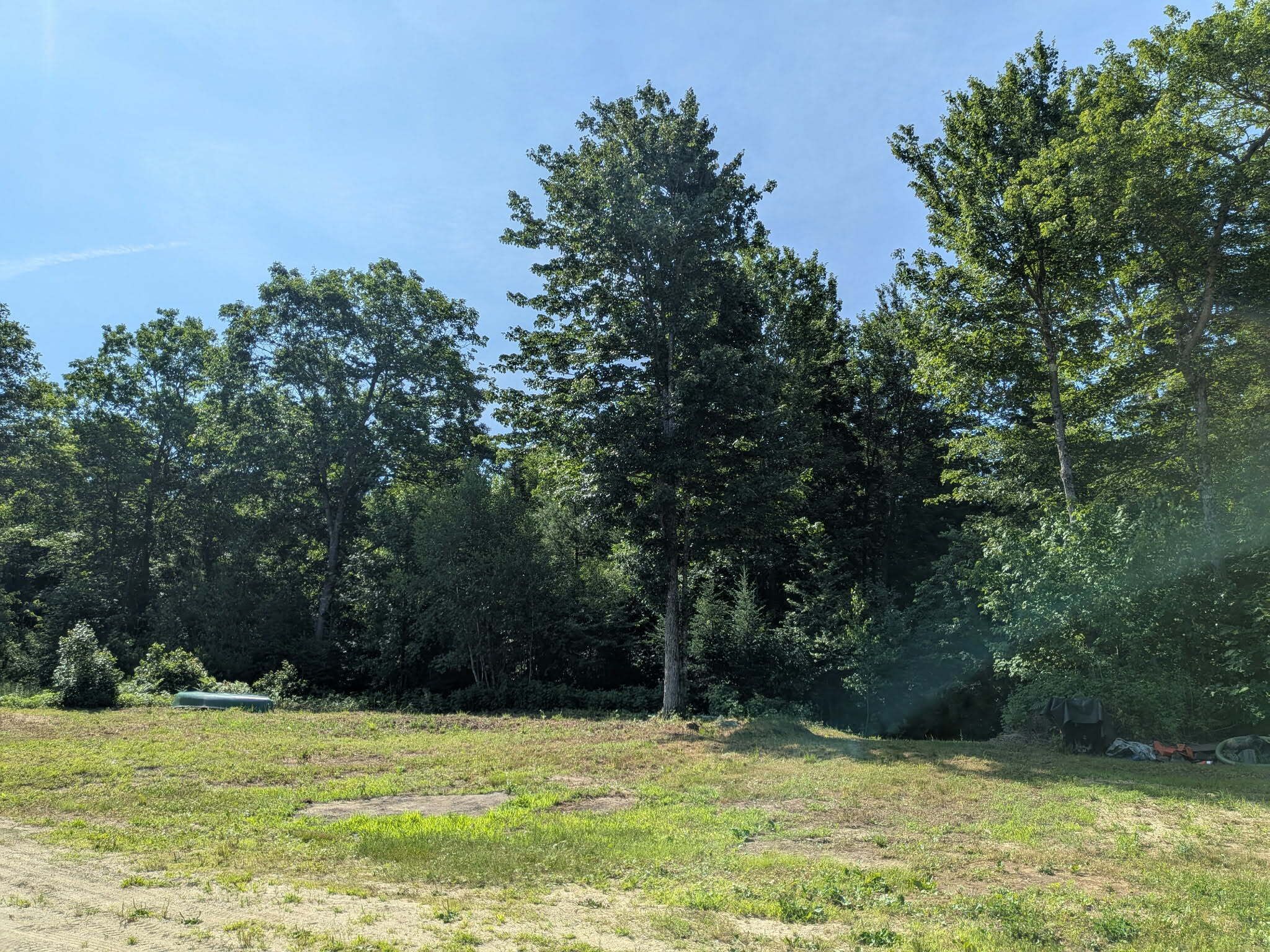 A natural landscape with trees and a grassy field.