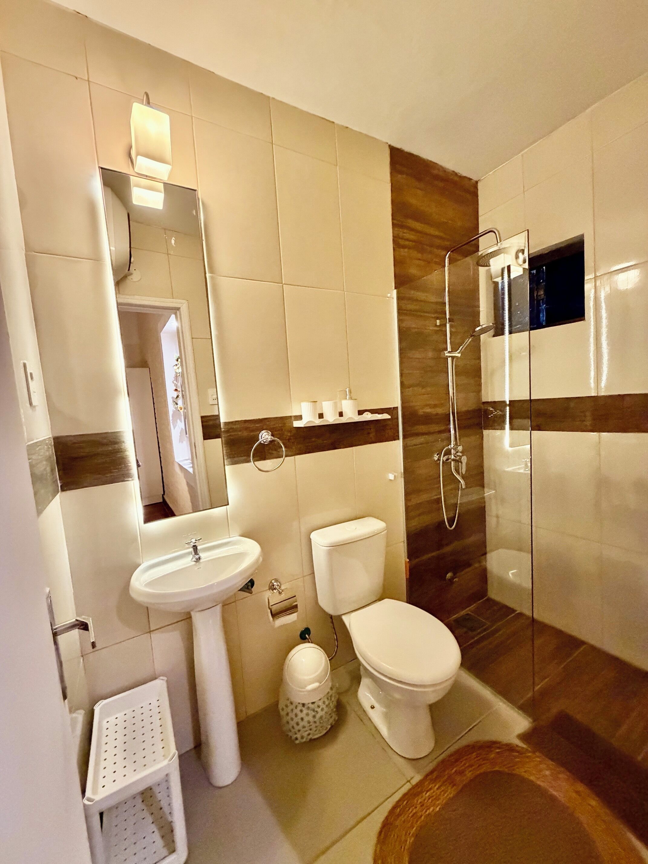 Regadera, secadora de cabello, bidet, toallas 