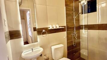 Shower, hair dryer, bidet, towels
