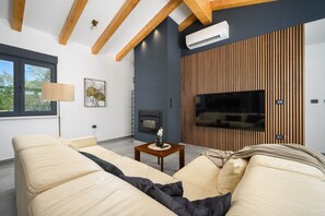 A modern living room with a sofa, a TV, and a fireplace. - Villa Oliver (Istria - Buje) (Buje)