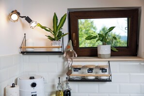 Eine Küche mit Fenster, Regalen mit Pflanzen, einer Lampe und Küchengeräten.