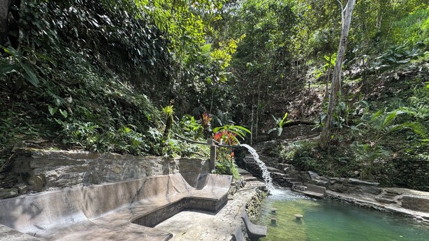 Unclassified image, 1 of 17, button - A little slice of paradise (Cocorna)