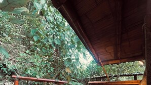 Unclassified image, 2 of 17, button - A little slice of paradise (Cocorna)