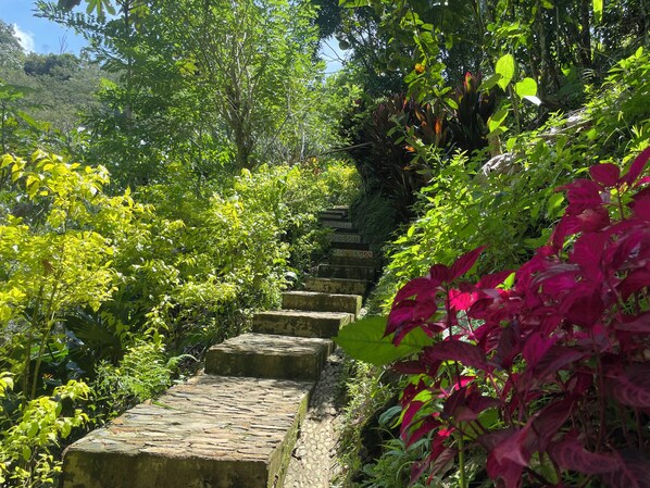 Jardines del alojamiento