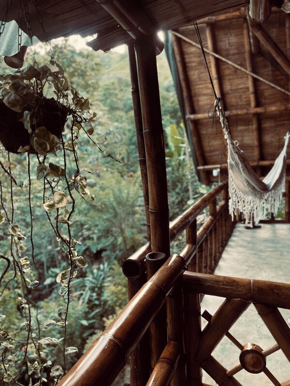 A wooden deck with a hammock and hanging plants.