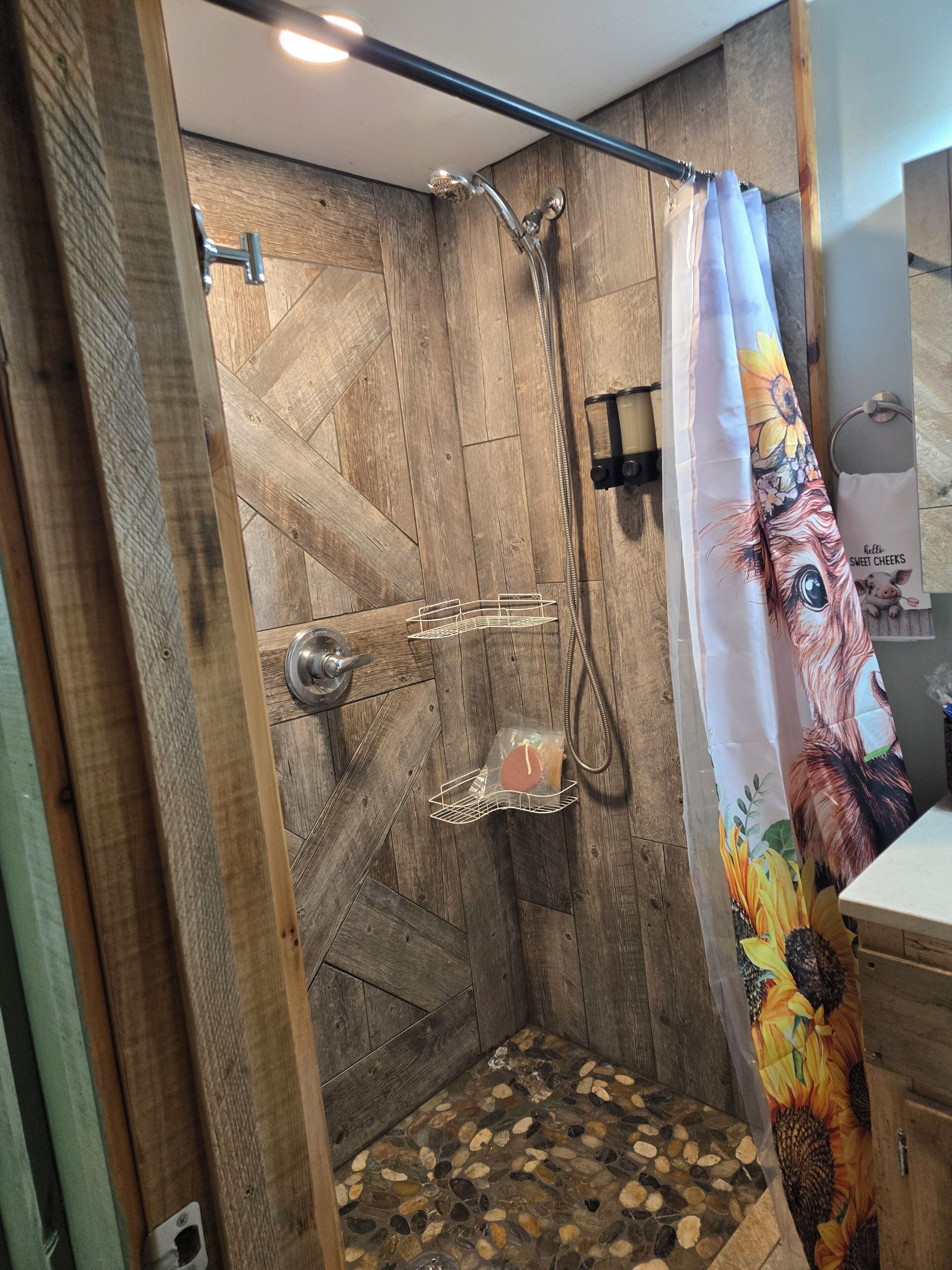 Shower, hair dryer, bidet, towels