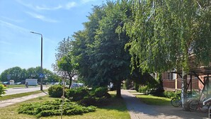 Un chemin pavé, un vélo et un bâtiment doté d’une zone abritée.