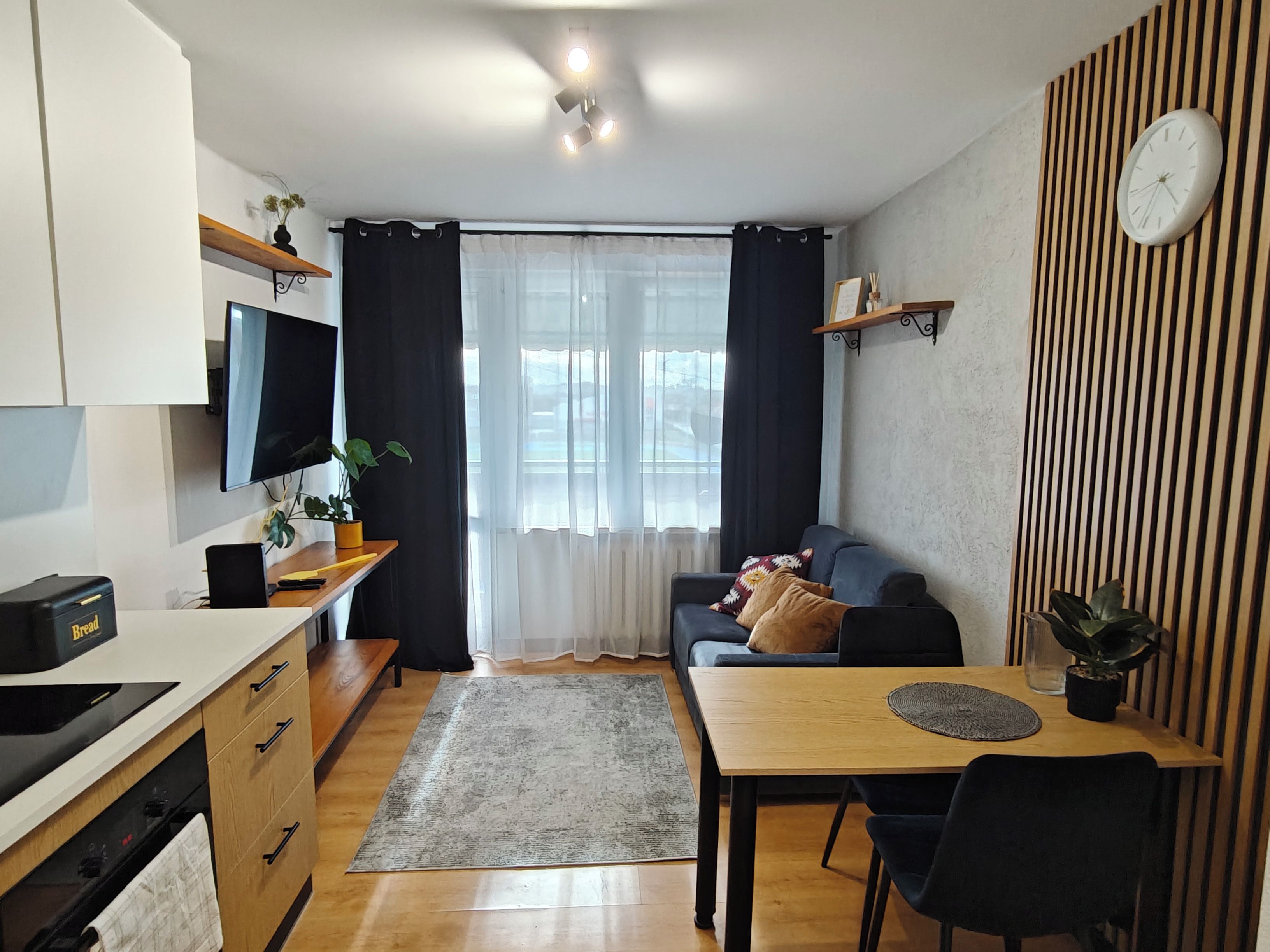 A compact living space with a kitchenette, a dining area, and a seating area with a sofa and a TV.