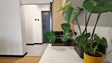 A modern interior with a white wall, a wooden floor, and a potted plant with broad leaves.