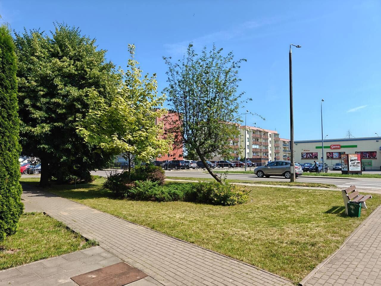 A paved walkway, a grassy area with a tree, and a building with a sign.