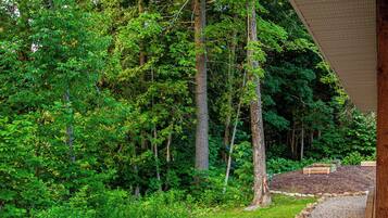 Un sentier traverse une zone boisée, et une structure en bois se trouve sur la droite.