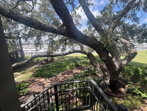 Una escalera conduce a un espacio al aire libre cubierto, con un gran árbol sobre él.