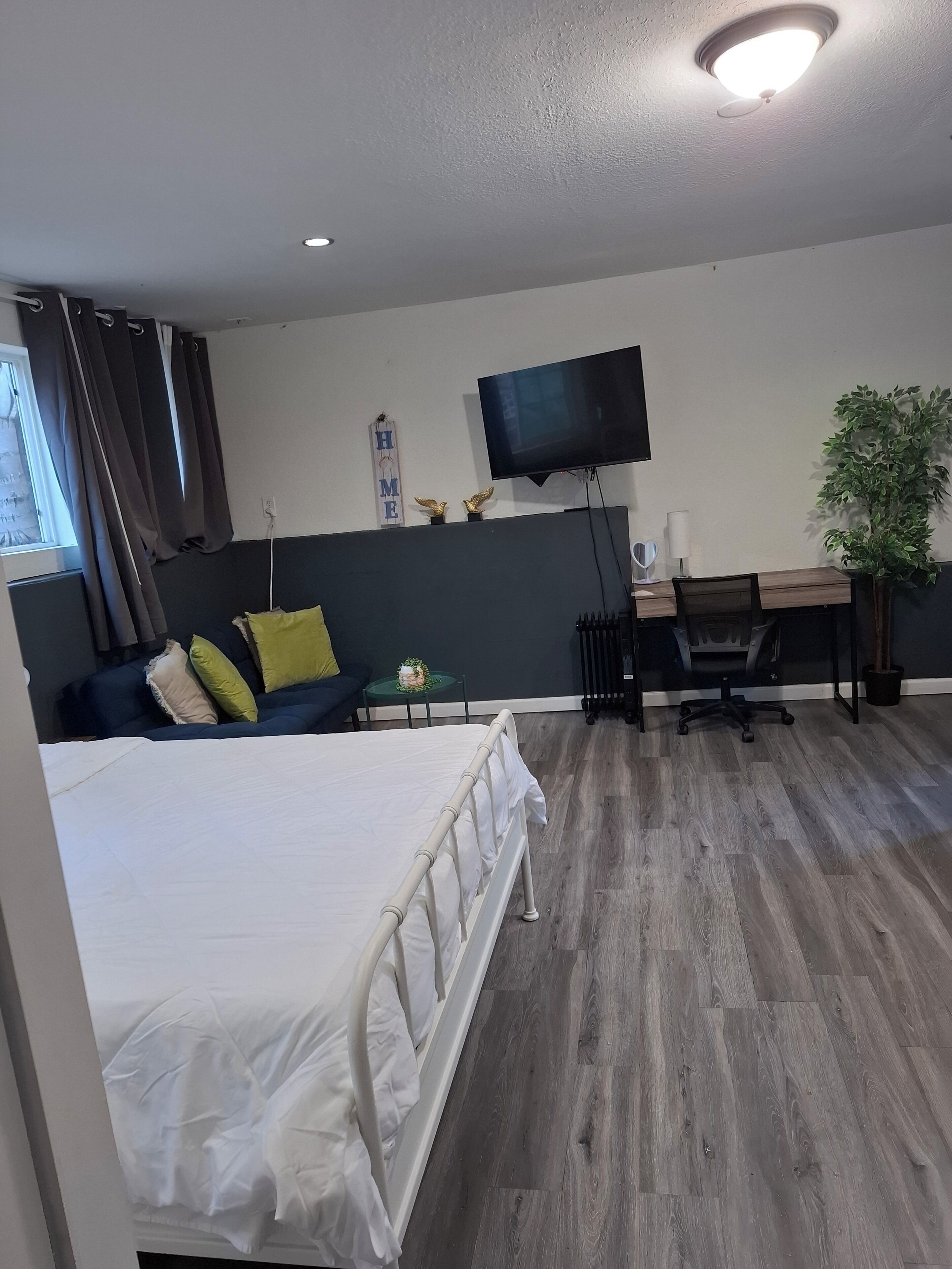 A hotel room with a bed, a desk, a chair, a television, and a potted plant.