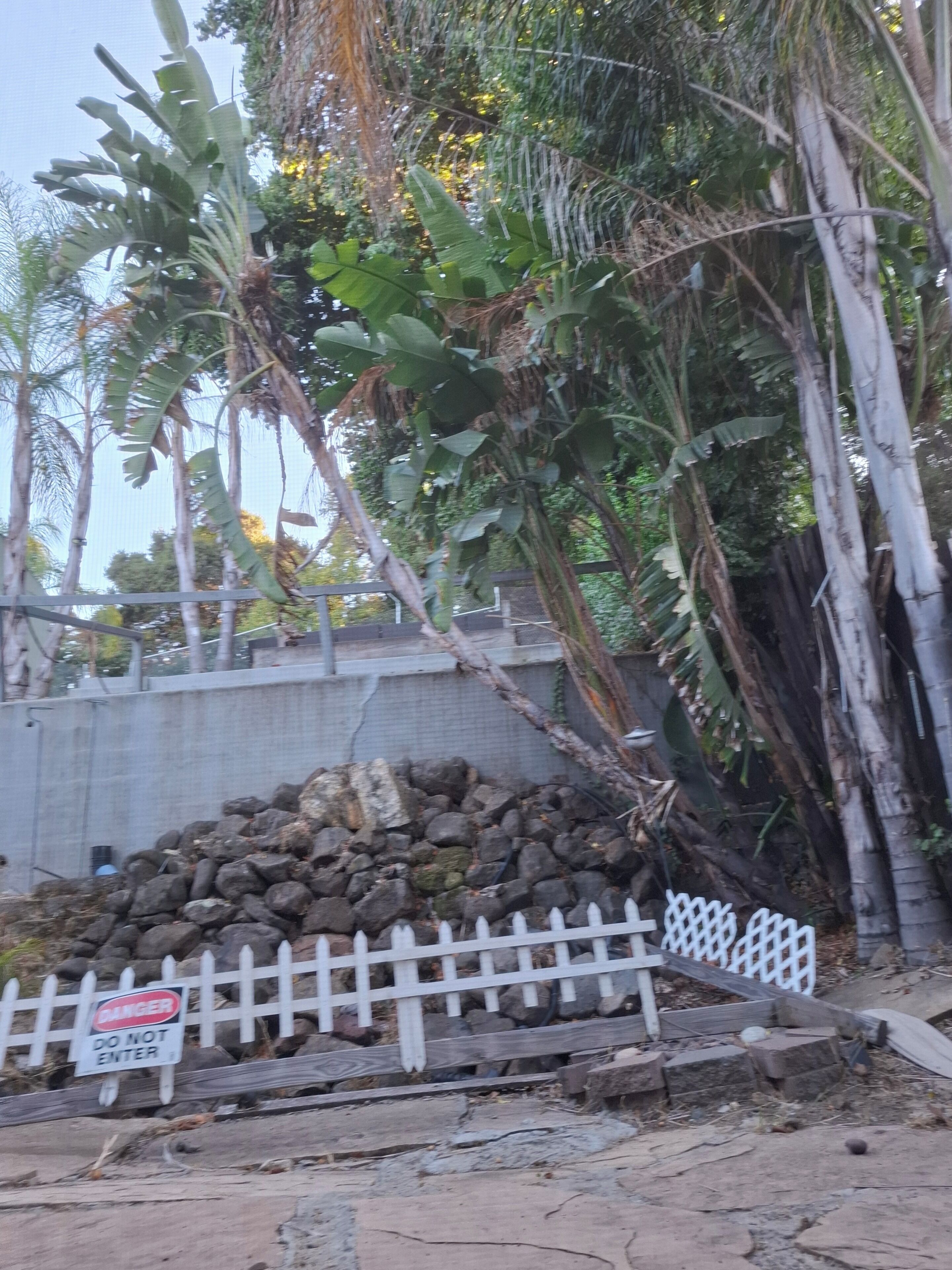 A white picket fence with a 'DANGER DO NOT ENTER' sign, a pile of rocks, and dense foliage including banana trees.