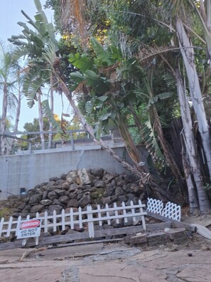 A white picket fence with a 'DANGER DO NOT ENTER' sign, a pile of rocks, and dense foliage including banana trees. -  Adorable Queen Bed Oakland Zoo with Private space and cool AC (Oakland)