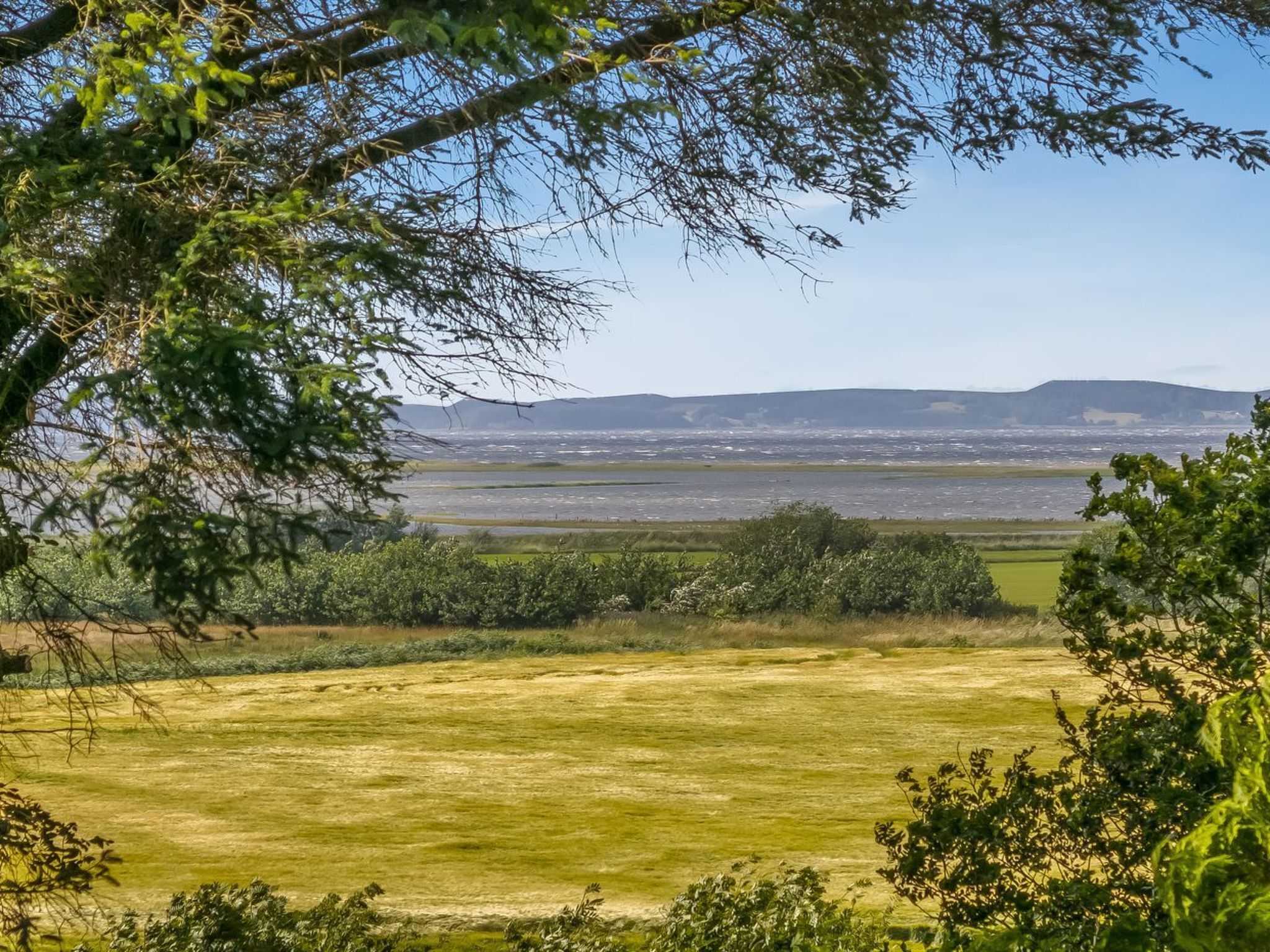 Une vue panoramique d’un paysage comprenant un champ herbeux, des arbres et des collines lointaines.